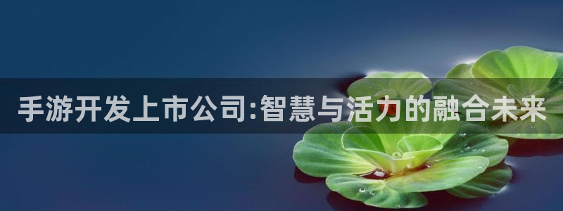 28大神预测下载：手游开发上市公司:智慧与活力的融合未来