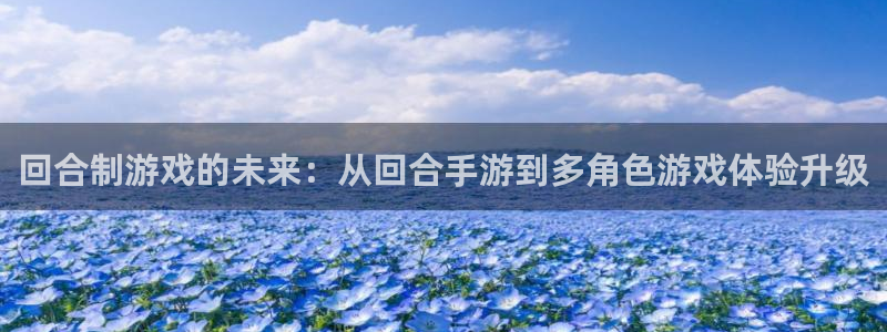 28大神现在是什么：回合制游戏的未来：从回合手游到多角色游戏