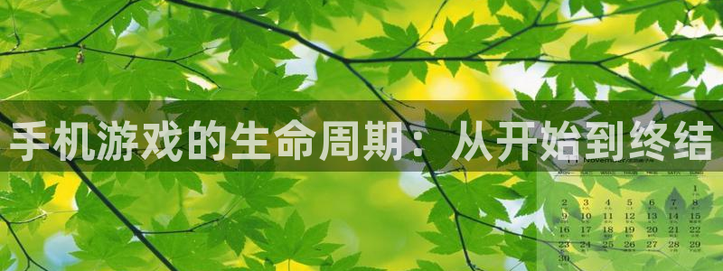 大神28软件：手机游戏的生命周期：从开始到终结