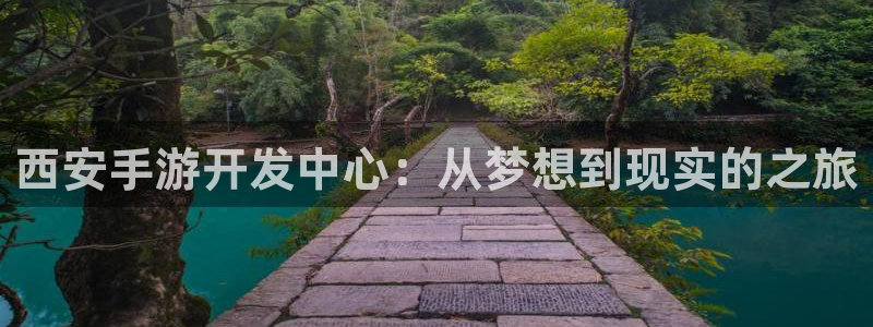 28大神怎么用不了：西安手游开发中心：从梦想到现实的之旅