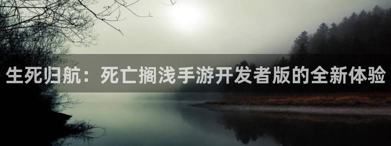 大神28分分预测：生死归航：死亡搁浅手游开发者版的全新体验