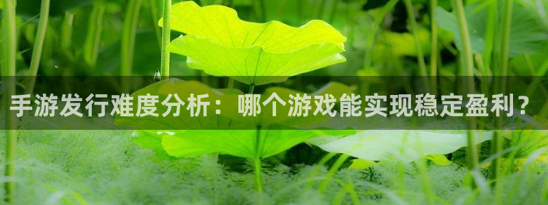 大神28ios下载：手游发行难度分析：哪个游戏能实现稳定盈利