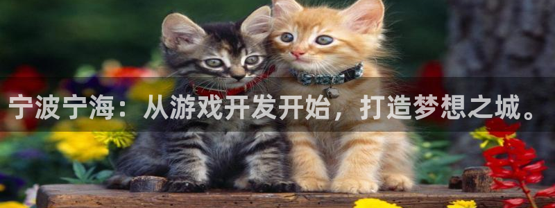 大神28高手论坛最简单方法：宁波宁海：从游戏开发开始，打造梦