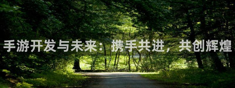 28大神下载苹果版：手游开发与未来：携手共进，共创辉煌