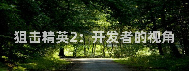 28大神官网：狙击精英2：开发者的视角