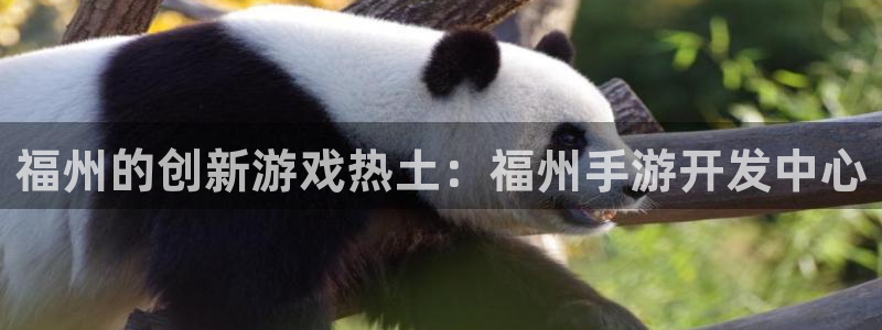 最新28大神预测：福州的创新游戏热土：福州手游开发中心