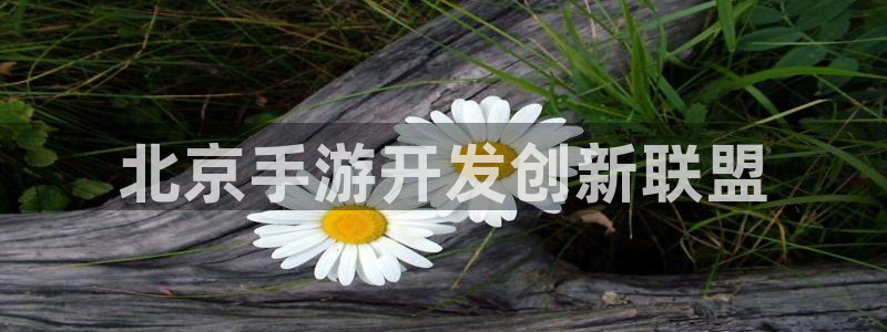 大神28手机版