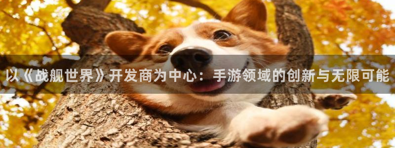 大神28统计网：以《战舰世界》开发商为中心：手游领域的创新与