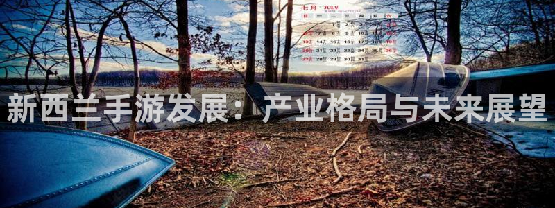 大神吧pc28软件：新西兰手游发展：产业格局与未来展望