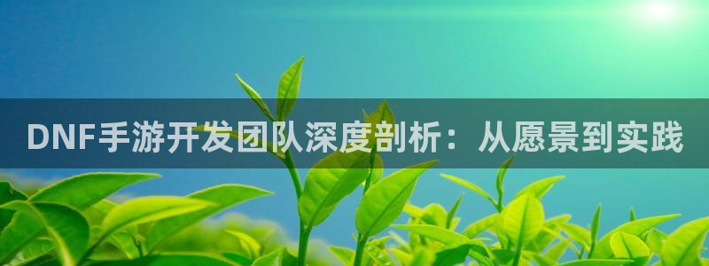 大神28app官网下载：DNF手游开发团队深度剖析：从愿景到