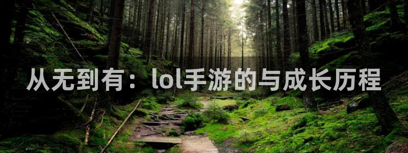 pc大神28下载：从无到有：lol手游的与成长历程