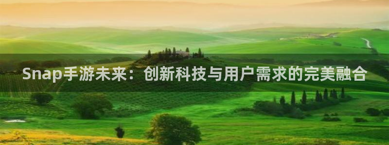 大神28app苹果版：Snap手游未来：创新科技与用户需求的