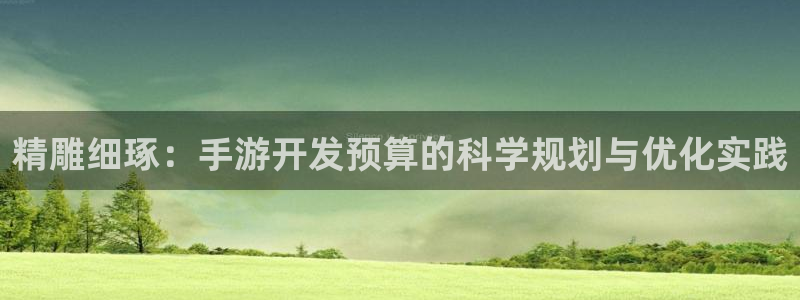 大神28开奖预测软件：精雕细琢：手游开发预算的科学规划与优化