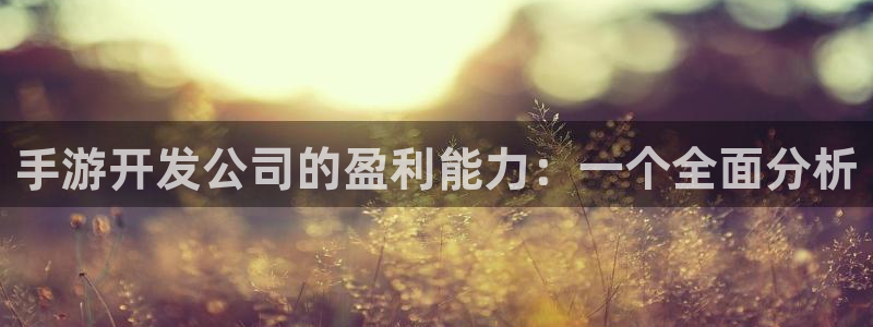 大神吧pc28在线预测网：手游开发公司的盈利能力：一个全面分