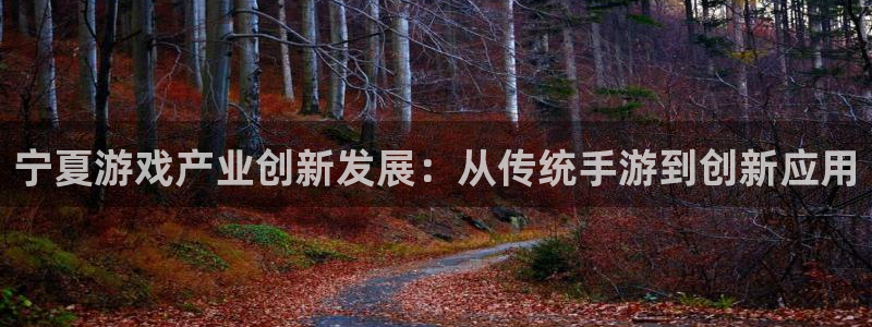 28加拿大大神下载：宁夏游戏产业创新发展：从传统手游到创新应
