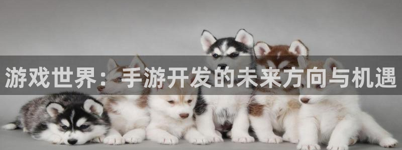 28大神开奖下载：游戏世界：手游开发的未来方向与机遇