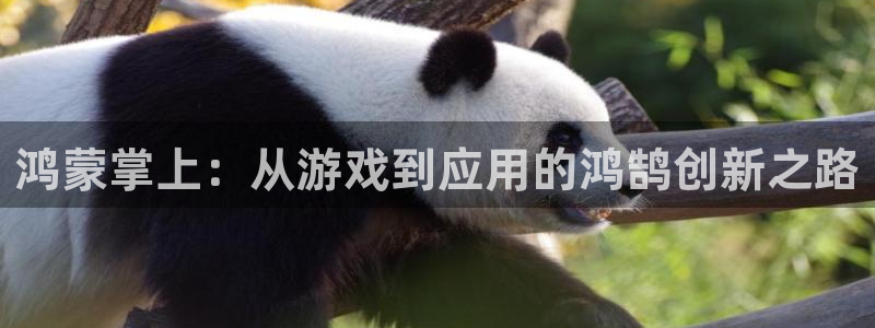 28大神6.0.0版：鸿蒙掌上：从游戏到应用的鸿鹄创新之路