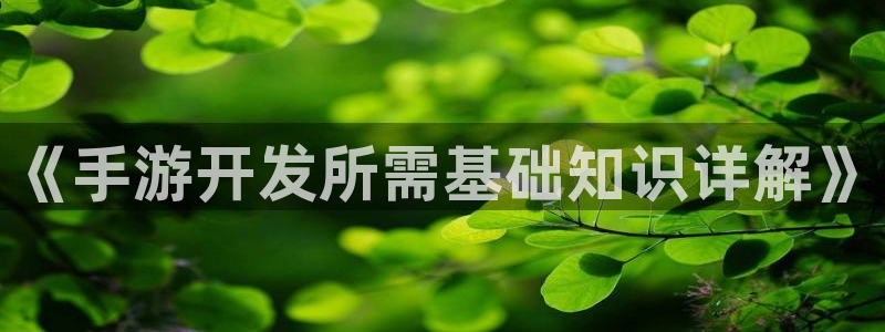 28大神网：《手游开发所需基础知识详解》