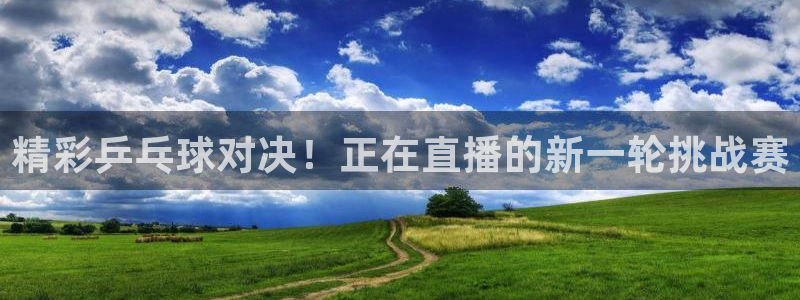 833比赛直播