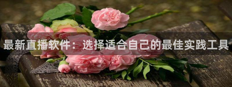 833直播足球