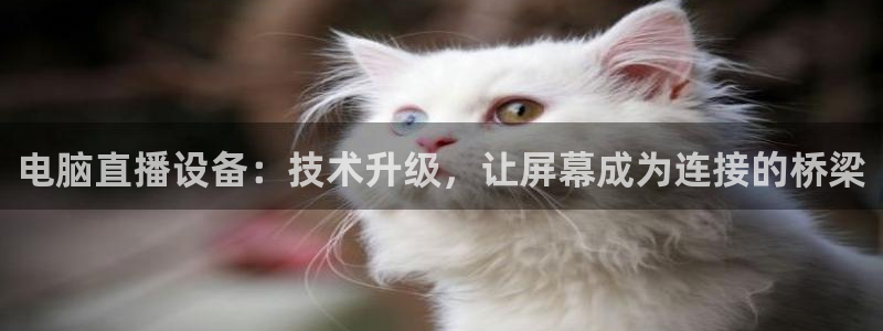 833足球直播平台
