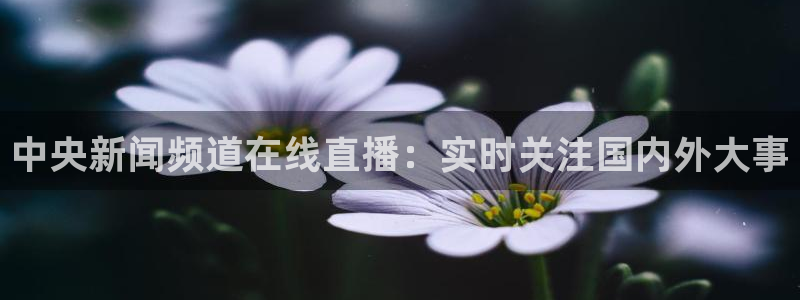 833直播足球