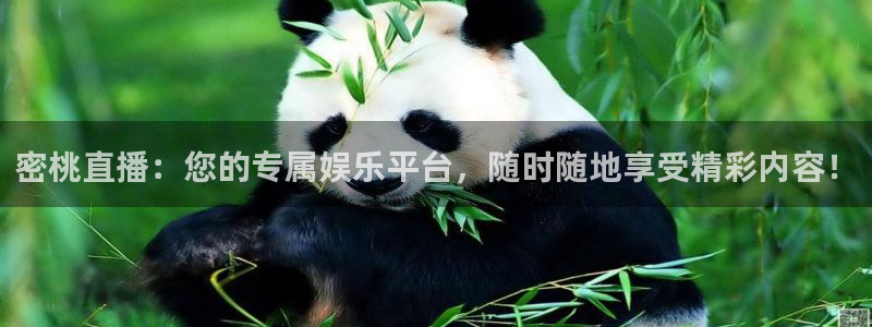 833体育直播观看