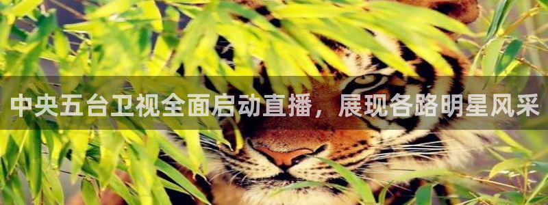 833免费看球直播：中央五台卫视全面启动直播，展现各路明星风采