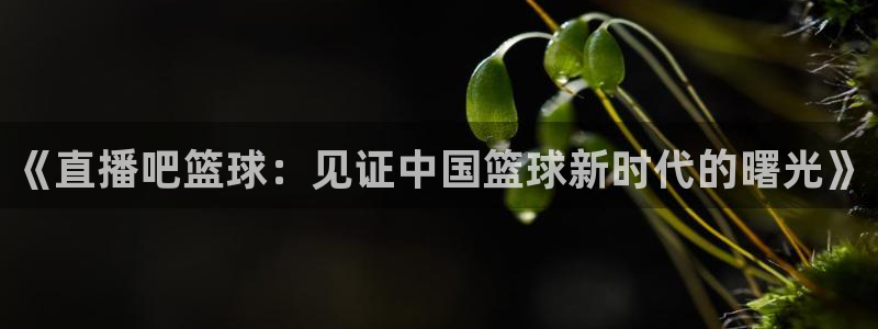 833直播比赛在线观看：《直播吧篮球：见证中国篮球新时代的曙光》