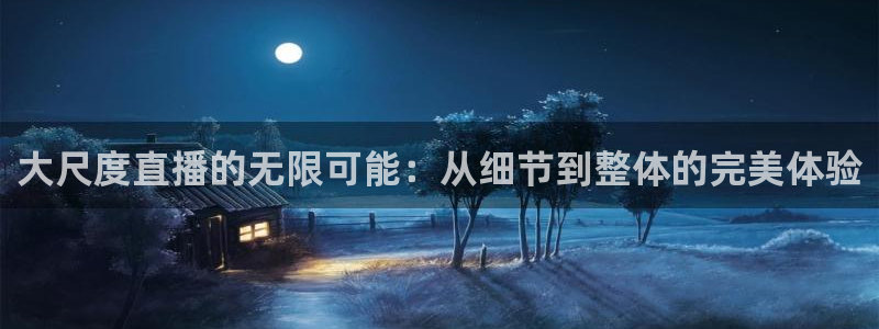 833足球比赛直播免费观看：大尺度直播的无限可能：从细节到整体的完美体验