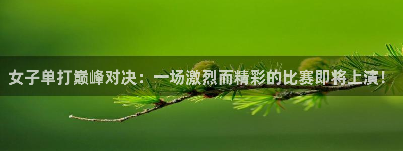 833篮球体育免费直播平台：女子单打巅峰对决：一场激烈而精彩的比赛即将上演！