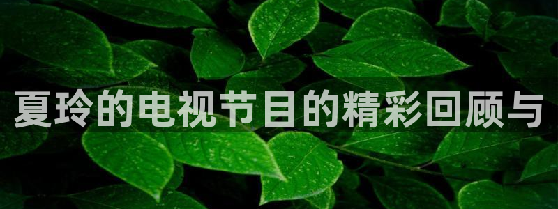 833直播足球比赛官网：夏玲的电视节目的精彩回顾与
