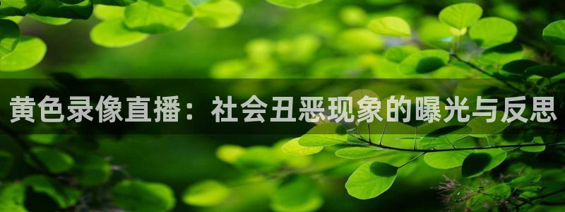 833篮球直播免费高清直播：黄色录像直播：社会丑恶现象的曝光与反思