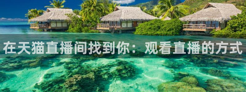 833篮球直播在线直播：在天猫直播间找到你：观看直播的方式