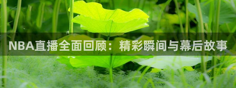 833比赛直播：NBA直播全面回顾：精彩瞬间与幕后故事
