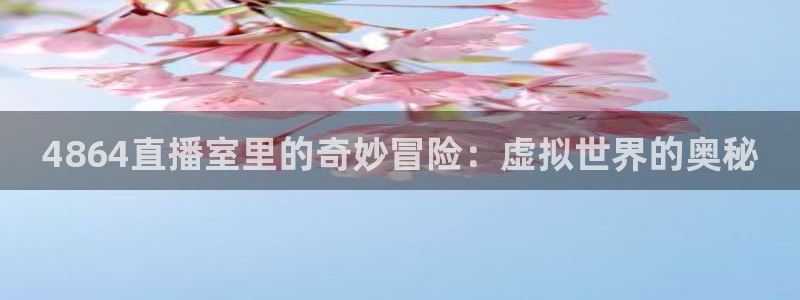球帝带833赛事直播：4864直播室里的奇妙冒险：虚拟世界的奥秘