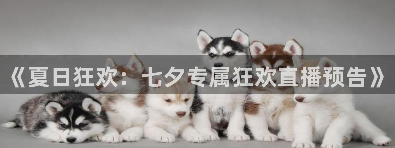 833足球比赛直播高清：《夏日狂欢：七夕专属狂欢直播预告》