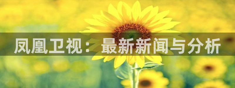 足球833直播免费观看直播：凤凰卫视：最新新闻与分析
