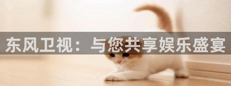 833直播免费体育直播：东风卫视：与您共享娱乐盛宴