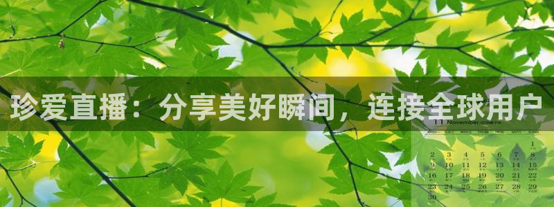833体育赛事直播：珍爱直播：分享美好瞬间，连接全球用户