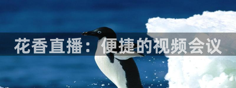 833nba直播免费高清直播：花香直播：便捷的视频会议