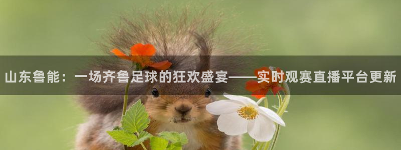 833足球免费直播：山东鲁能：一场齐鲁足球的狂欢盛宴——实时观赛直播平台更新
